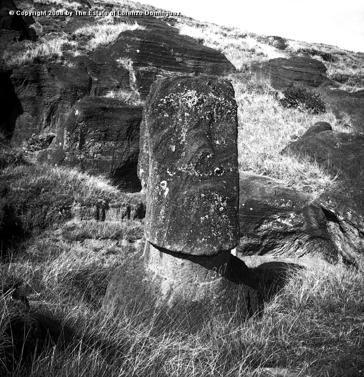 RRI_Cantera_Interior_18.jpg - Easter Island. 1960. Moai on the interior quarry of Rano Raraku. The carved quarry.